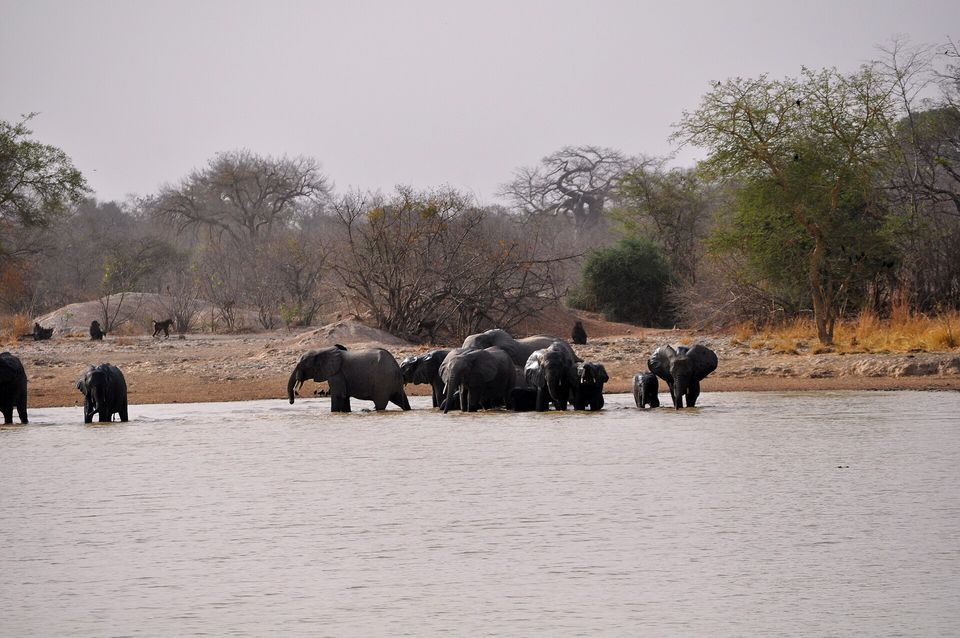 Parc de la Pendjari, Bénin